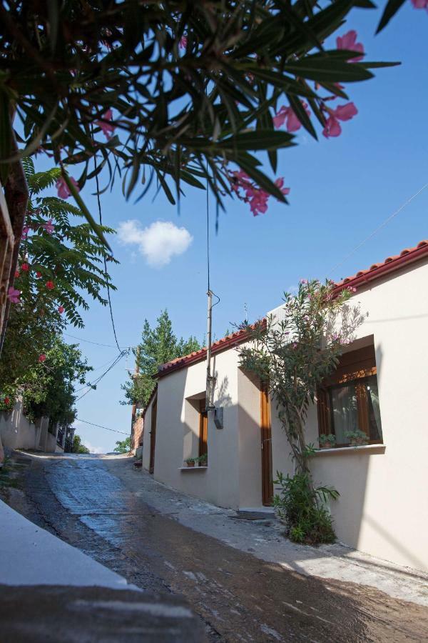 Vila Antoni'S House Makri Alexandrupoli Exteriér fotografie